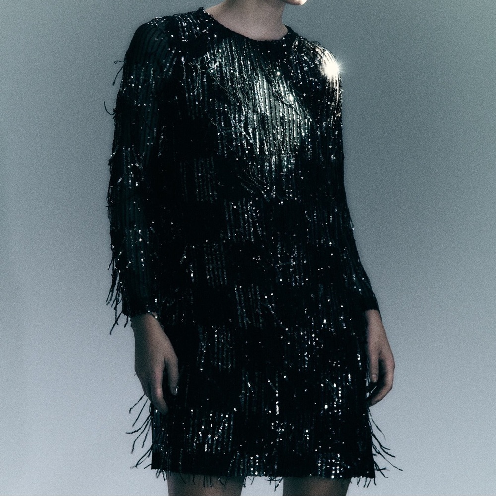 NWT Zara Sequin Fringed Mini Dress - Picture 3 of 9